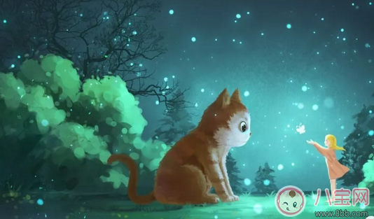 怎樣表揚和獎勵孩子好 如何正確獎勵孩子