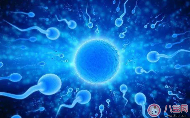 如何在排卵期快速懷孕 排卵期第一天容易受孕嗎