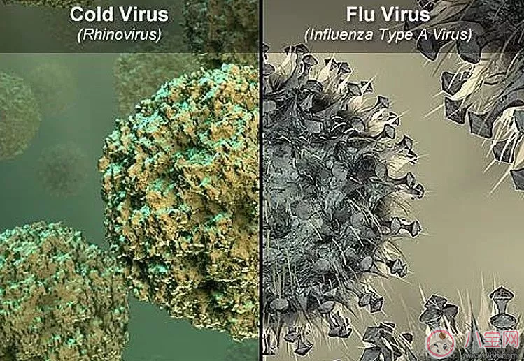 春季流感變異是什么原因 流感變異怎么預防