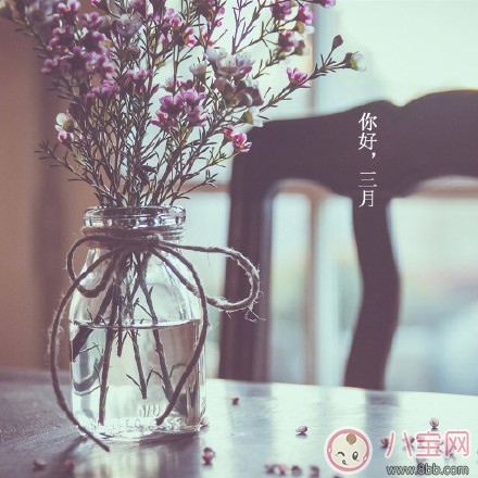 三月你好早安心語 3月你好2月再見的說說句子圖片