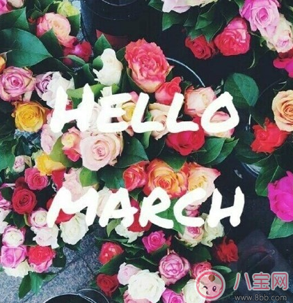 三月你好早安心語 3月你好2月再見的說說句子圖片