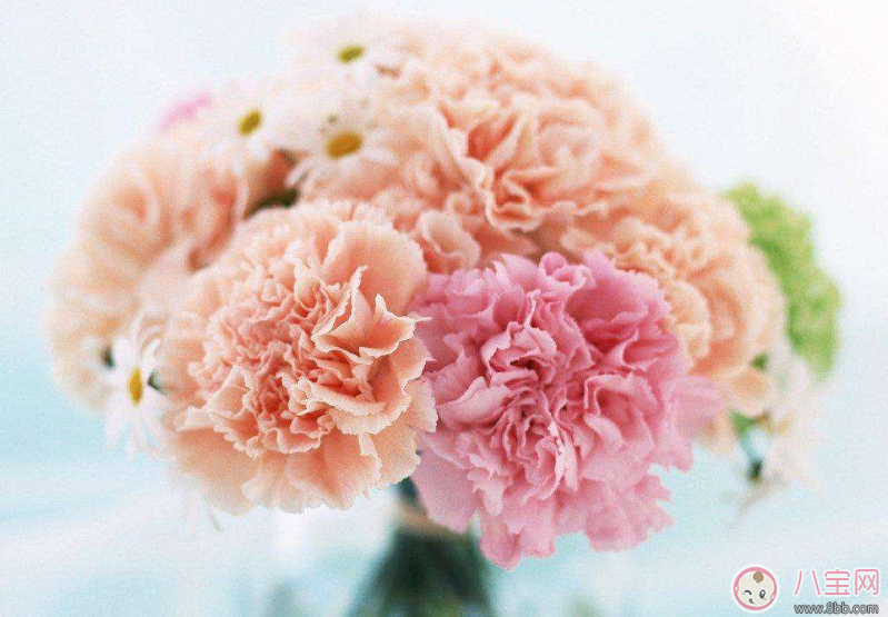 三八婦女節給媽媽的祝福短信 婦女節給媽媽的祝福句子說說