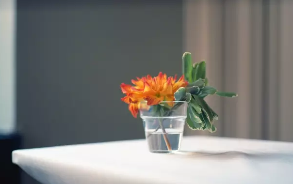 三月再見四月你好說說2018 三月再見四月你好唯美心情短句子圖片 三月再見四月你好說說2018 三月再見四月你好唯美心情短句子圖片