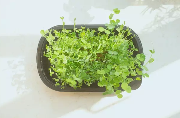 三月再見四月你好說說2018 三月再見四月你好唯美心情短句子圖片 三月再見四月你好說說2018 三月再見四月你好唯美心情短句子圖片