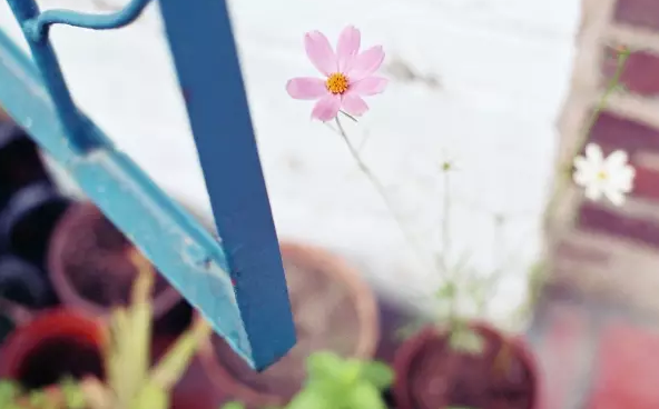 三月再見四月你好說說2018 三月再見四月你好唯美心情短句子圖片 三月再見四月你好說說2018 三月再見四月你好唯美心情短句子圖片