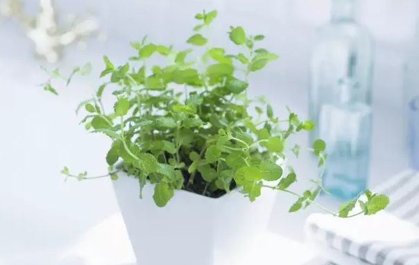 三月再見四月你好說說2018 三月再見四月你好唯美心情短句子圖片 三月再見四月你好說說2018 三月再見四月你好唯美心情短句子圖片