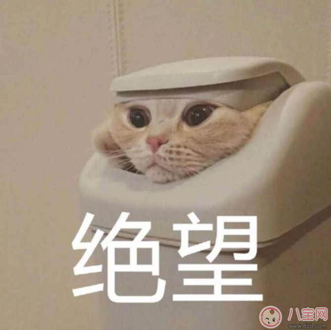 三月不減肥四月徒傷悲表情包 關于三月不減肥四月徒傷悲高清大圖 三月不減肥四月徒傷悲表情包 關于三月不減肥四月徒傷悲高清大圖