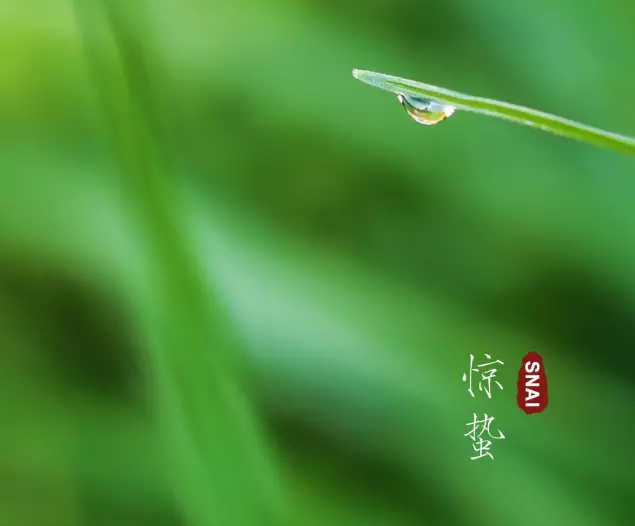 今日驚蟄說說2018 今日驚蟄句子詩詞發朋友圈配圖