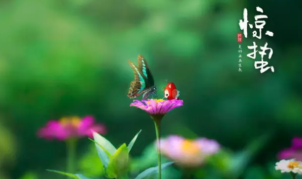 今日驚蟄說說2018 今日驚蟄句子詩詞發朋友圈配圖