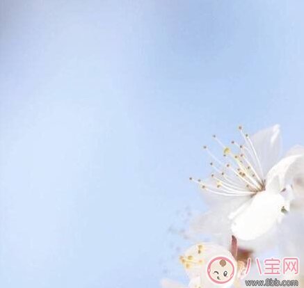 今日驚蟄朋友圈發(fā)什么祝福的話 2018今日驚蟄說說短信祝福語 今日驚蟄朋友圈發(fā)什么祝福的話 2018今日驚蟄說說短信祝福語