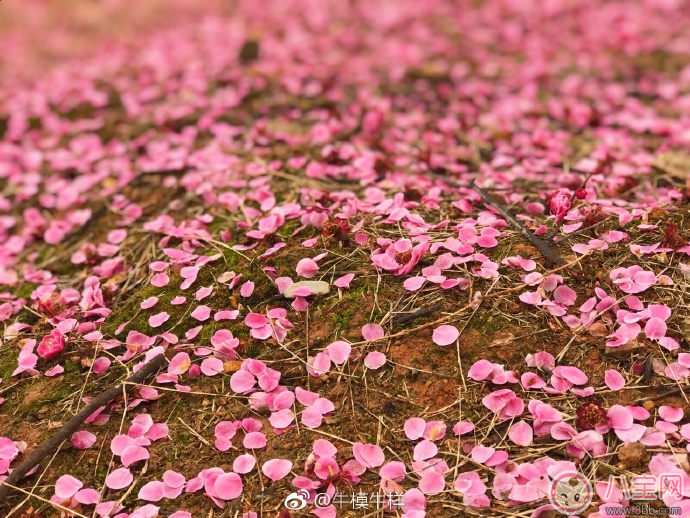 今日驚蟄朋友圈發(fā)什么祝福的話 2018今日驚蟄說說短信祝福語 今日驚蟄朋友圈發(fā)什么祝福的話 2018今日驚蟄說說短信祝福語