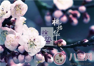 2018驚蟄出生的孩子好不好 驚蟄出生的孩子命運怎么樣