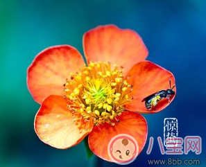 今日驚蟄心情說說朋友圈配圖 2018驚蟄祝福問候語大全 今日驚蟄心情說說朋友圈配圖 2018驚蟄祝福問候語大全