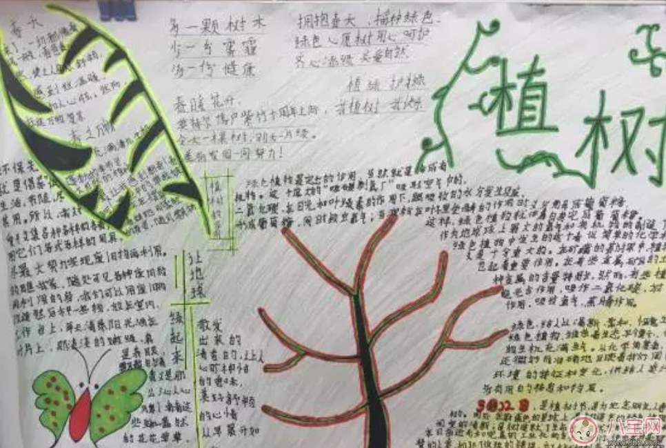 2018漂亮的植樹(shù)節(jié)手抄報(bào)內(nèi)容 植樹(shù)節(jié)手抄報(bào)圖片大全 