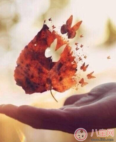 2018女生節早安心語 女生節快樂說說圖片