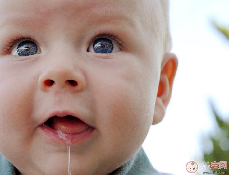 寶寶流口水厲害怎么回事 寶寶流口水厲害小偏方