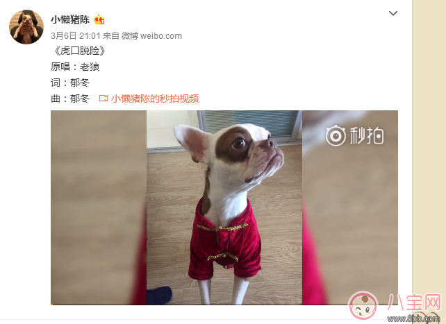 土木三班陳同學本人開通微博 小懶豬陳土木三班陳同學微博