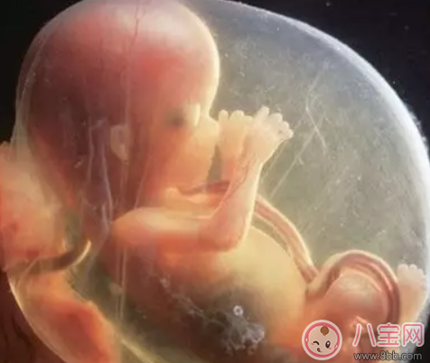 意外懷孕是靈魂投胎嗎 一懷孕孩子就有靈魂嗎 意外懷孕是靈魂投胎嗎 一懷孕孩子就有靈魂嗎