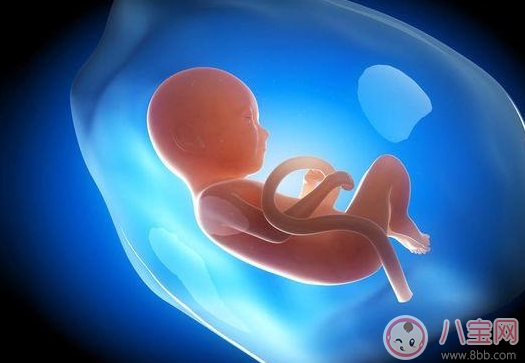 胎兒打嗝說明肺發(fā)育好是真的嗎 胎兒打嗝能算胎動嗎
