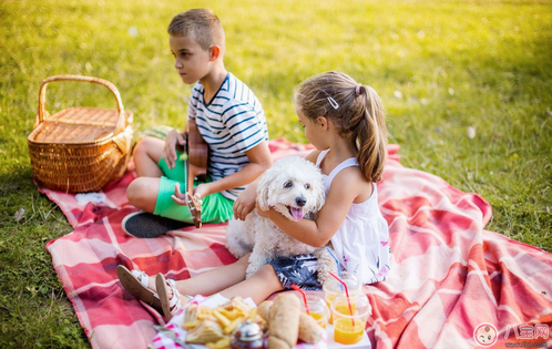幼兒園春游活動感言心情說說 幼兒園孩子春游的說說句子 