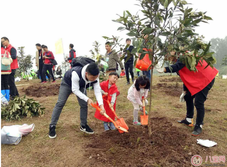 植樹節陪孩子植樹說說 2018植樹節陪孩子植樹心情感慨說說