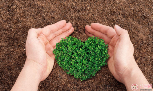 植樹節(jié)活動方案怎么寫 學校植樹節(jié)策劃活動