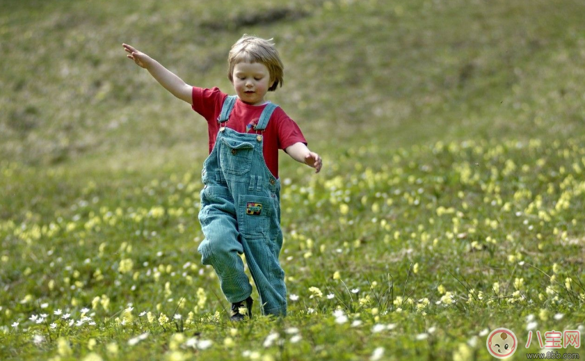 學(xué)校組織春游活動家長感言說說 學(xué)校親子春游活動家長心情短語句子
