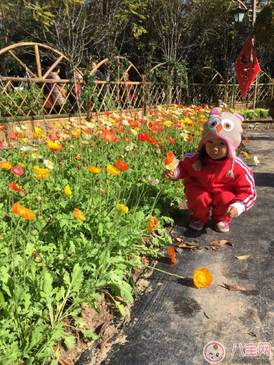 帶孩子春游的心情短語 帶孩子春游說說朋友圈