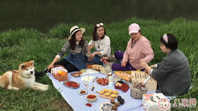 帶孩子春游的心情短語 帶孩子春游說說朋友圈