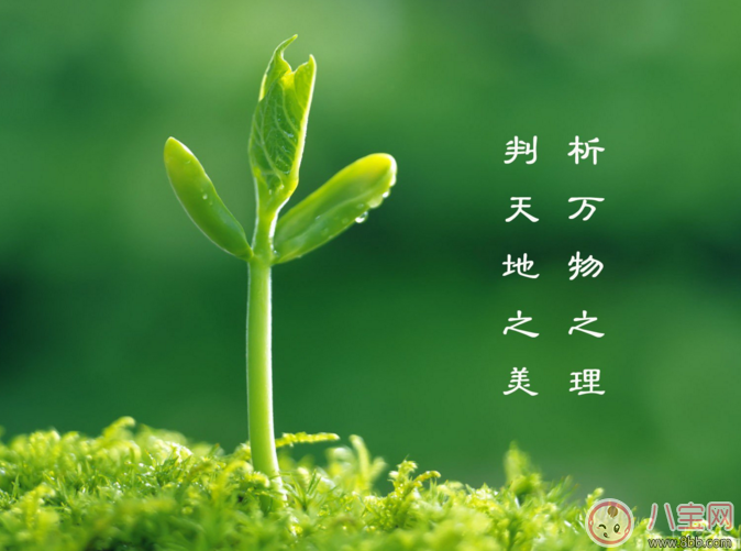 植樹(shù)節(jié)是怎么而來(lái)的 怎樣給孩子講植樹(shù)節(jié)的由來(lái)