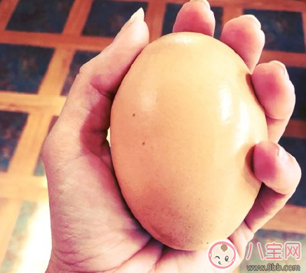 澳大利亞發現罕見蛋中蛋什么情況 蛋中蛋長什么樣子照片