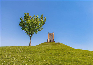 植樹節(jié)活動(dòng)方案怎么寫 學(xué)校植樹節(jié)策劃活動(dòng)