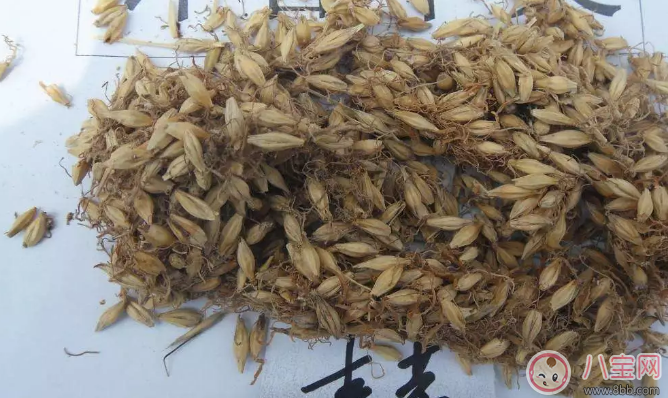 春季給斷奶怎么容易回奶 春天斷奶怎么讓寶寶接受