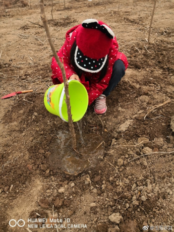 植樹節手抄報圖片大全 2018元狗年植樹節圖畫