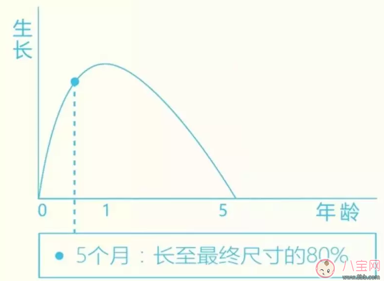 寶寶身上的紅印子是什么東西 孩子身上長紅色的塊狀東西是什么 寶寶身上的紅印子是什么東西 孩子身上長紅色的塊狀東西是什么