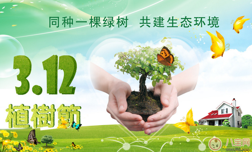 2018幼兒園植樹節活動總結 植樹節活動心得體會