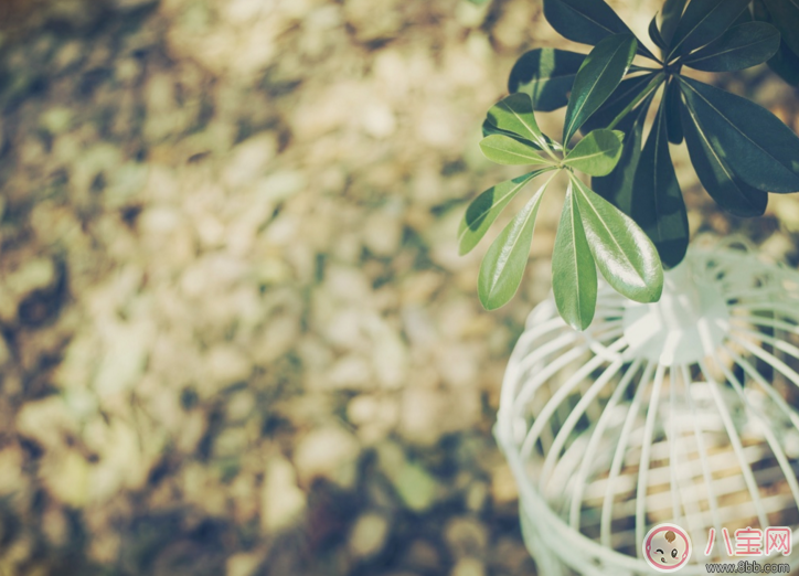 特別想孩子的心情說說圖片 媽媽想孩子的心情語錄 特別想孩子的心情說說圖片 媽媽想孩子的心情語錄