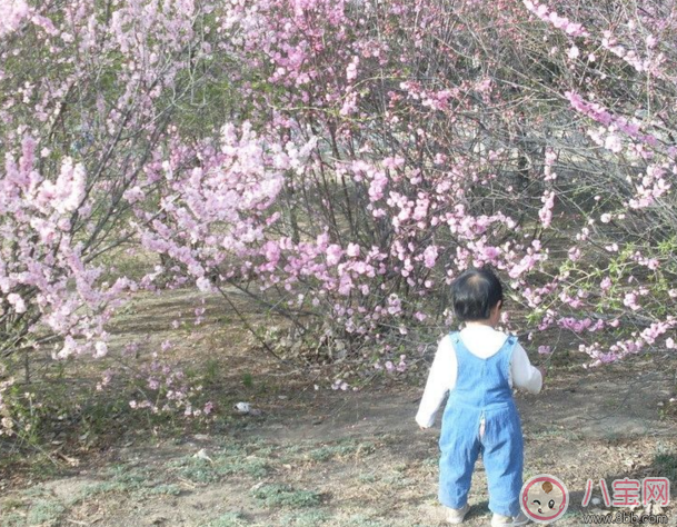 春天寶寶怎么穿衣護(hù)理 寶寶春天穿衣指南