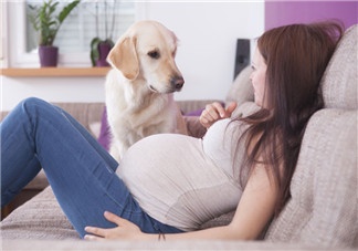 寶寶胎動了怎么發朋友圈 感覺到胎動幸福的說說句子