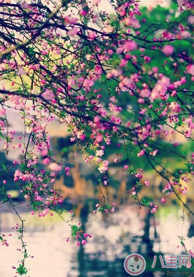 春天踏青的說說句子朋友圈 春天踏青曬圖心情說說