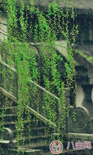 春天踏青的說說句子朋友圈 春天踏青曬圖心情說說