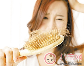 女人脫發的原因是什么 春天怎樣有效預防脫發