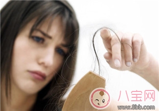 女人脫發的原因是什么 春天怎樣有效預防脫發