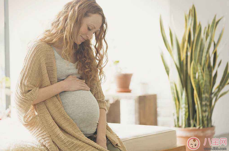 懷孕的不同階段胎動有什么不同 怎么分辨孕期胎動的情況 懷孕的不同階段胎動有什么不同 怎么分辨孕期胎動的情況