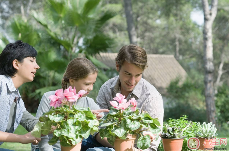 有女兒要更加操心嗎 生女兒父母為什么要更努力