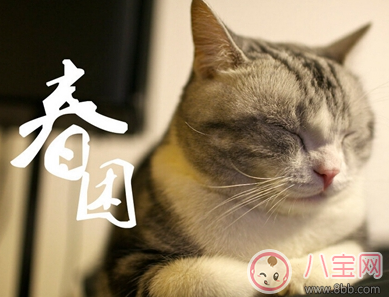 春困想睡覺怎么辦 怎樣有效趕走春困小技巧 春困想睡覺怎么辦 怎樣有效趕走春困小技巧