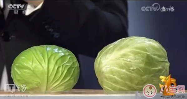 315辟謠了哪些食物謠言 哪些食物相克是假的