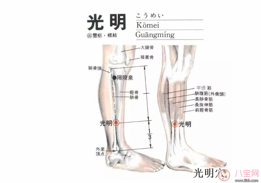 封穴回奶怎么樣 封穴回奶的操作步驟是什么 封穴回奶怎么樣 封穴回奶的操作步驟是什么