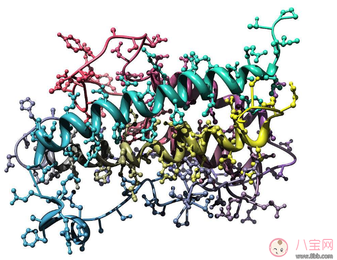 孩子的個字不高生長激素怎么選擇 幫助孩子長高的生長激素怎么吃比較好