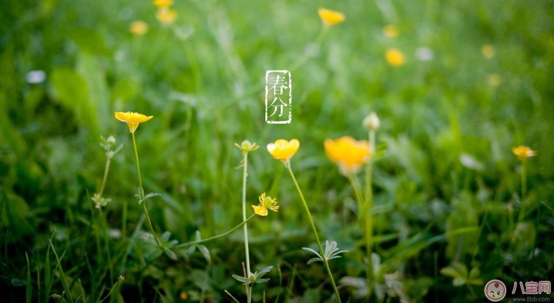 2018春分朋友圈說說發什么好 今日春分心情說說朋友圈配圖 2018春分朋友圈說說發什么好 今日春分心情說說朋友圈配圖